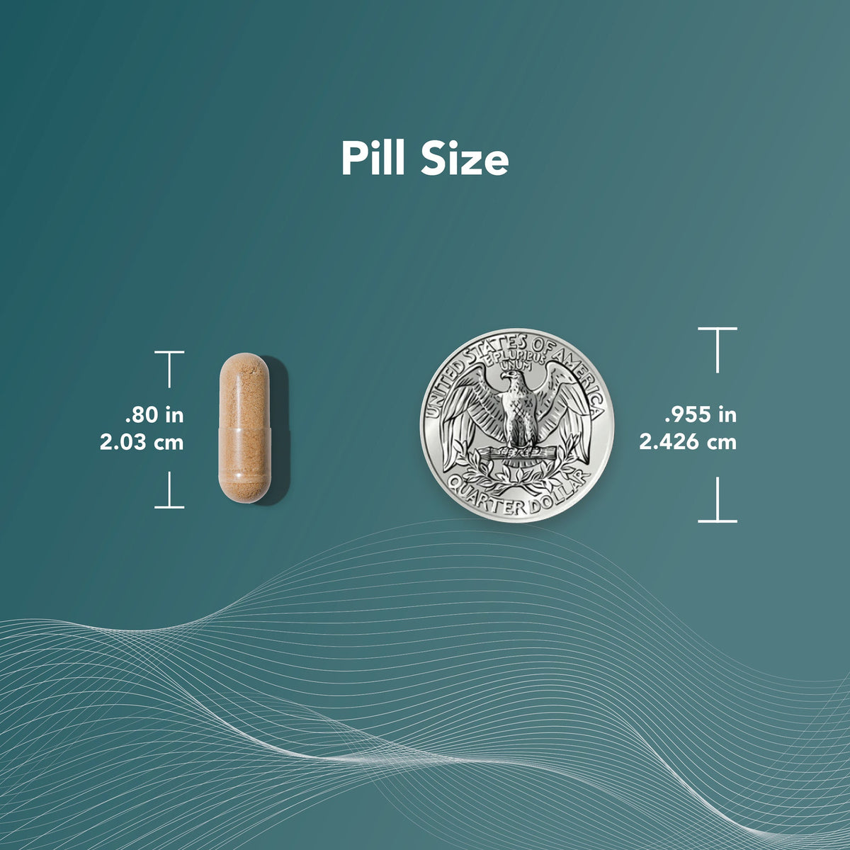 AndroSyn™ Nutritional Supplement