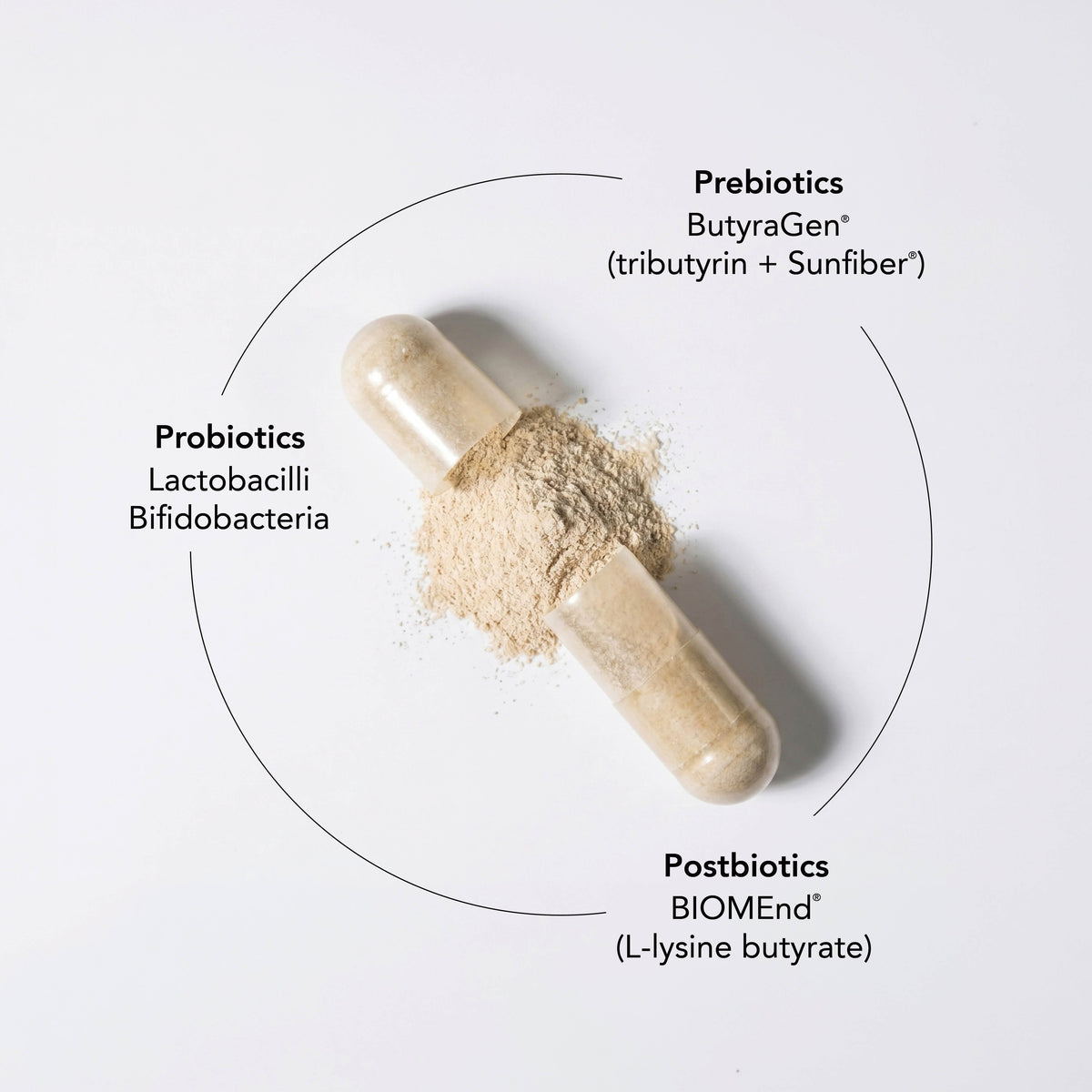 TreBiome™ Pre, Pro, & Postbiotic Supplement